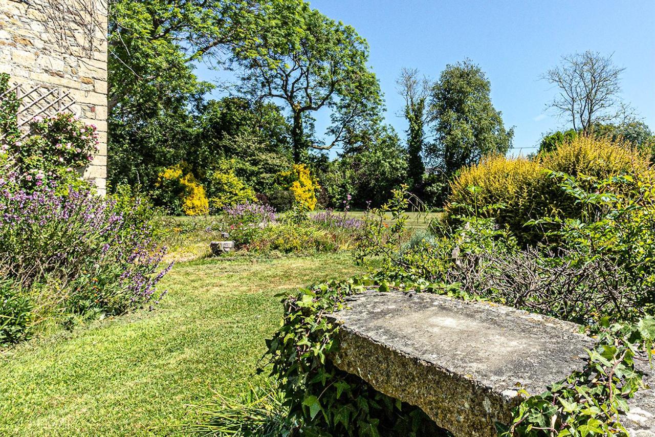 Cosy Wolf Bed & Breakfast Freshwater Eksteriør bilde